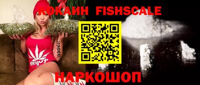 гидра Камышлов