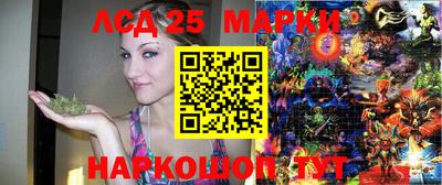 стаф Кинель