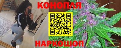 не бодяженный Кингисепп