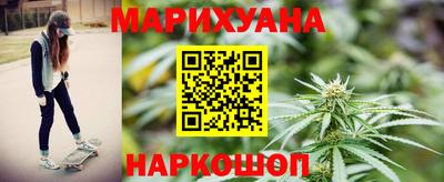 гидра Камышлов