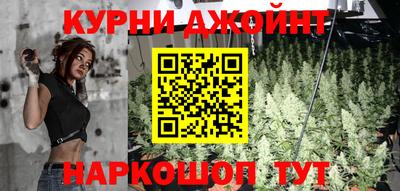 гидра Камышлов