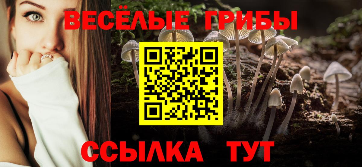 Лесозаводск  Псилоцибиновые грибы Magic Shrooms  Галлюциногенные грибы Cubensis  Вход с VPN 
